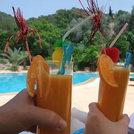 Paradise Garden 3*