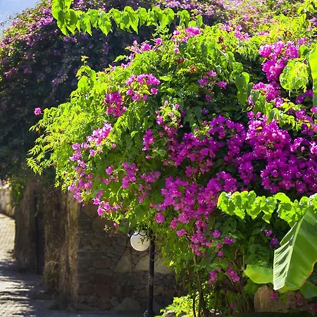 Paradise Garden Отель
