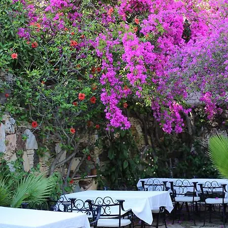Hotel Paradise Garden Ölüdeniz