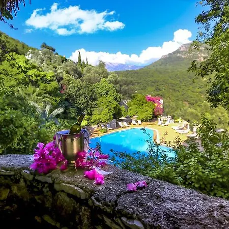 Отель Paradise Garden 3*