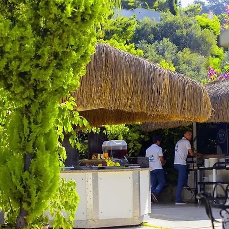 Paradise Garden 3*
