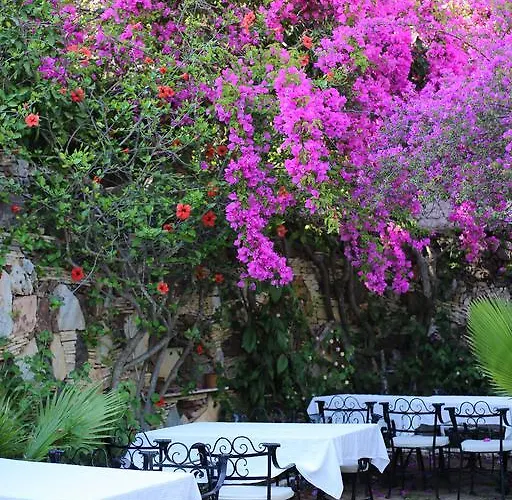 Ξενοδοχείο Paradise Garden Ολουντενίζ