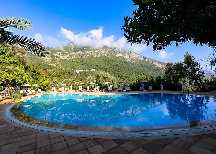 Paradise Garden Hotel 3*