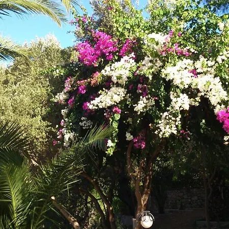 Ξενοδοχείο Paradise Garden 3*