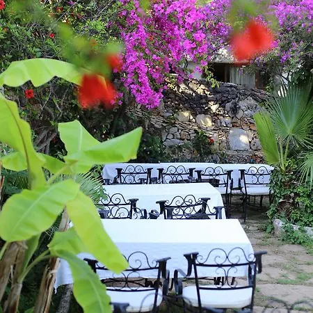 Otel Paradise Garden 3*