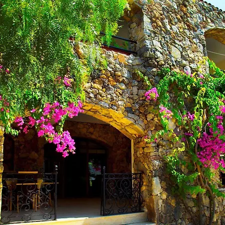 Paradise Garden فندق