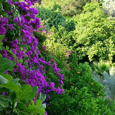 Otel Paradise Garden Ölüdeniz
