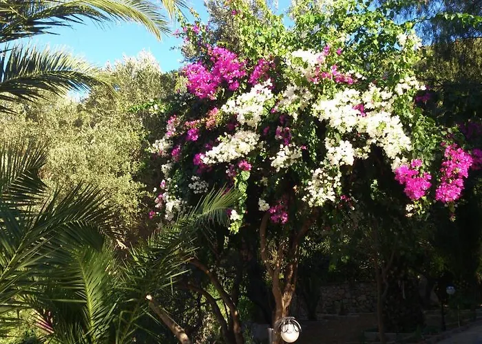 Hotell Paradise Garden 3*