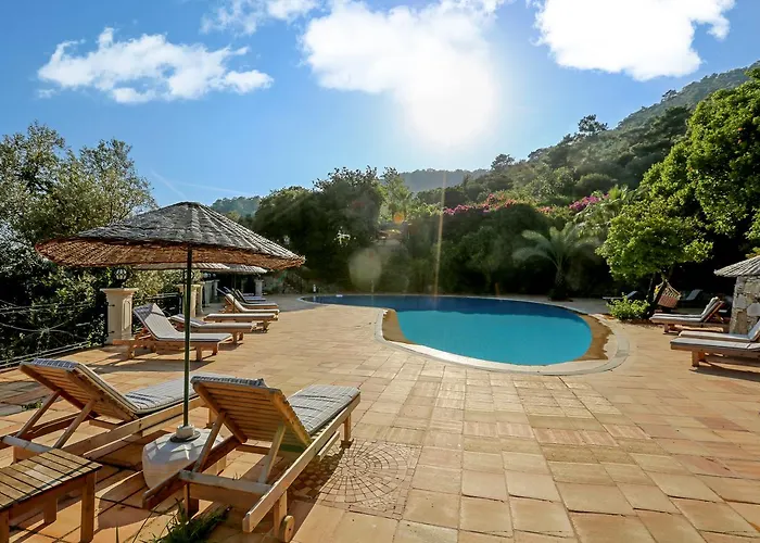 Paradise Garden Hotell 3*