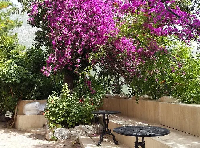 Paradise Garden 3* Oludeniz