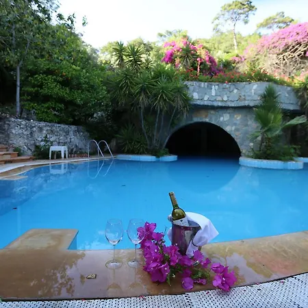 Paradise Garden オルデニズ