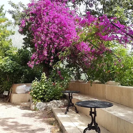 Paradise Garden 3* Ολουντενίζ