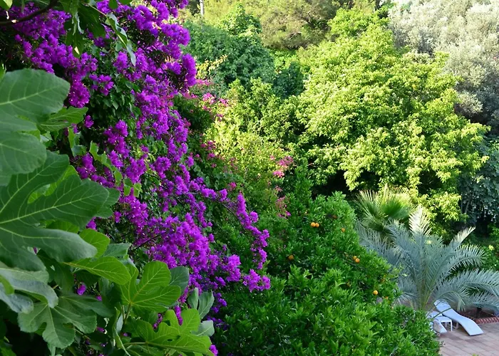 Отель Paradise Garden Олудениз